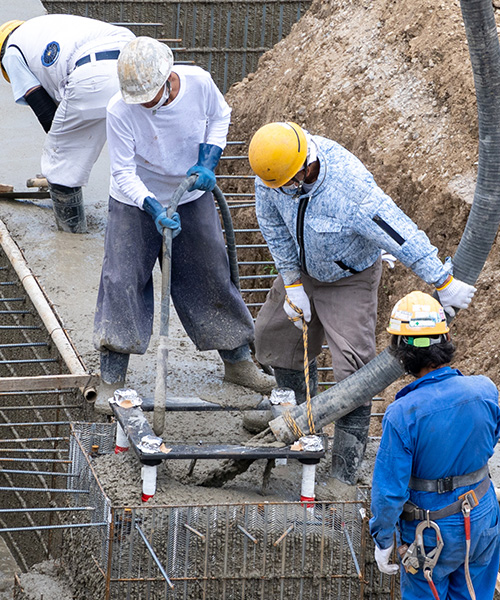 受入れ前にかかる費用